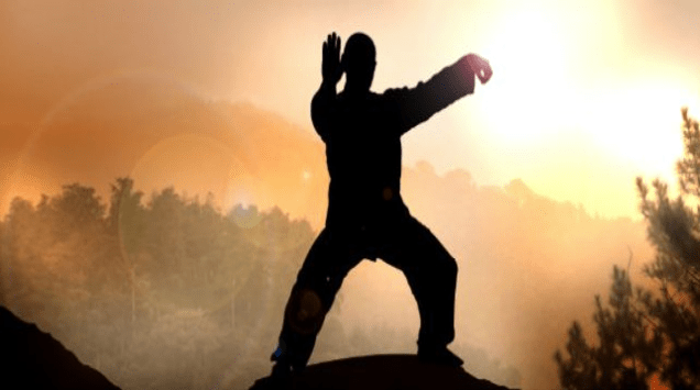 Stage de Tai Chi Chuan : forme de YANG CHENG FU